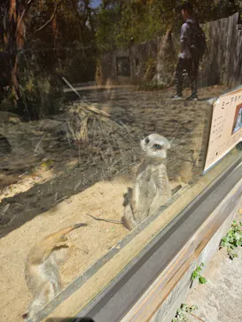 こども動物自然公園（埼玉県公園緑地協会）に投稿された画像（2026/4/12）