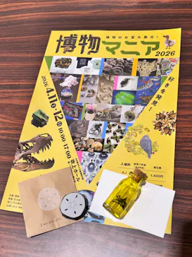 地球のお宝大集合！博物マニアに投稿された画像（2026/4/12）