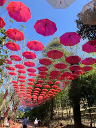 ムーミンバレーパークに投稿された画像（2026/4/12）