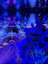 ひらかたパークに投稿された画像（2026/4/12）