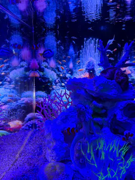 ひらかたパークに投稿された画像（2026/4/12）