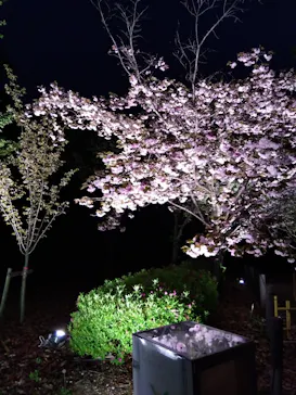 名古屋市東山動植物園に投稿された画像（2026/4/12）