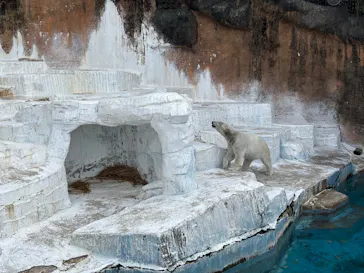 天王寺動物園に投稿された画像（2026/4/12）