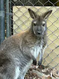 こども動物自然公園（埼玉県公園緑地協会）に投稿された画像（2026/4/12）
