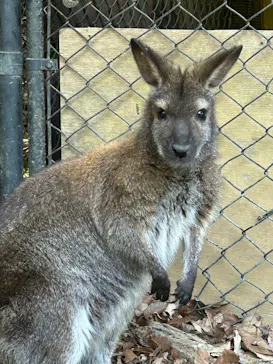こども動物自然公園（埼玉県公園緑地協会）に投稿された画像（2026/4/12）