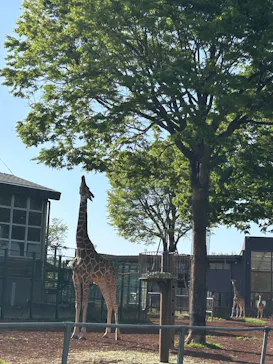 こども動物自然公園（埼玉県公園緑地協会）に投稿された画像（2026/4/12）