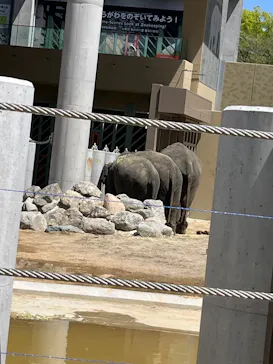天王寺動物園に投稿された画像（2026/4/12）