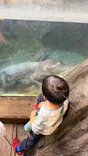 天王寺動物園に投稿された画像（2026/4/12）