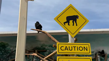 天王寺動物園に投稿された画像（2026/4/12）