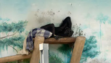 天王寺動物園に投稿された画像（2026/4/12）