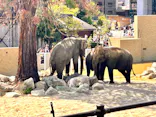 天王寺動物園に投稿された画像（2026/4/12）