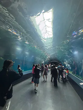 マクセル アクアパーク品川に投稿された画像（2026/4/12）