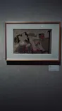 北斎・英泉 艶くらべー歌舞伎町花盛りー新宿歌舞伎町春画展WA 第2回に投稿された画像（2026/4/12）