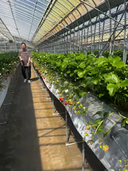 Strawberry Farm シャインベリーに投稿された画像（2026/4/12）