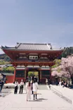 勝尾寺に投稿された画像（2026/4/12）