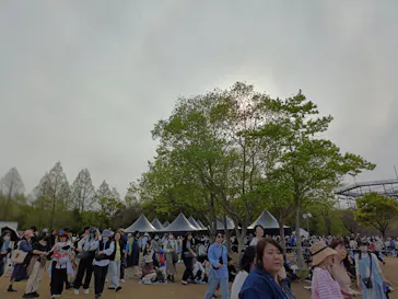 万博記念公園に投稿された画像（2026/4/12）