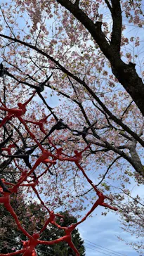 彫刻の森美術館に投稿された画像（2026/4/12）