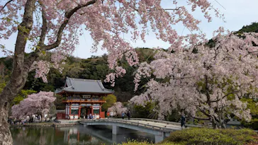 勝尾寺に投稿された画像（2026/4/12）
