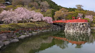 勝尾寺に投稿された画像（2026/4/12）