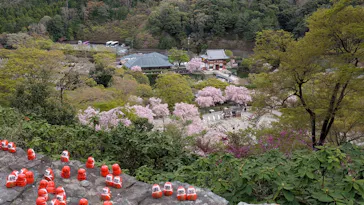 勝尾寺に投稿された画像（2026/4/12）