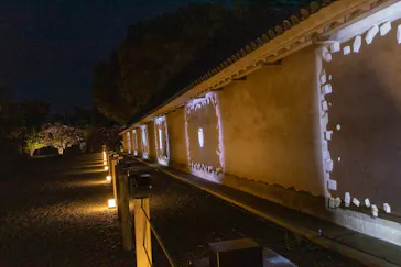 二条城2026 SAKURA NIGHTSに投稿された画像（2026/4/12）