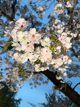 名古屋市東山動植物園に投稿された画像（2026/4/12）