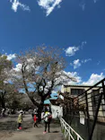 宇都宮動物園に投稿された画像（2026/4/13）