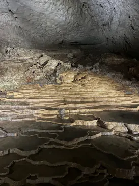 秋芳洞に投稿された画像（2026/4/12）