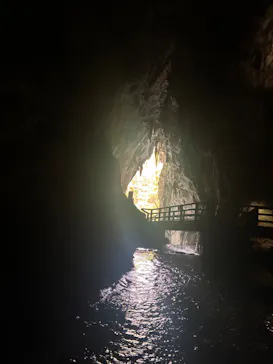 秋芳洞に投稿された画像（2026/4/12）