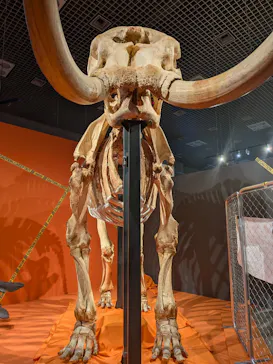 特別展「超危険生物展　科学で挑む生き物の本気」に投稿された画像（2026/4/12）
