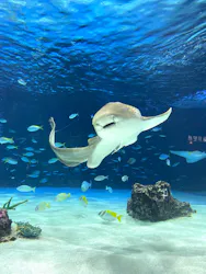 サンシャイン水族館に投稿された画像（2026/4/12）