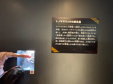 特別展「超危険生物展　科学で挑む生き物の本気」に投稿された画像（2026/4/12）