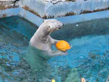 天王寺動物園に投稿された画像（2026/4/13）