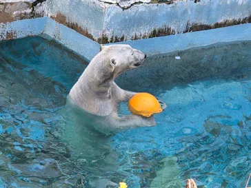 天王寺動物園に投稿された画像（2026/4/12）
