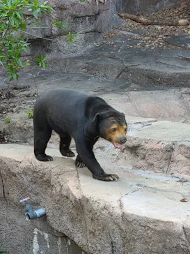 天王寺動物園に投稿された画像（2026/4/12）