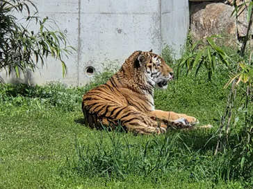 天王寺動物園に投稿された画像（2026/4/12）