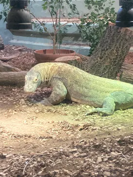 名古屋市東山動植物園に投稿された画像（2026/4/12）