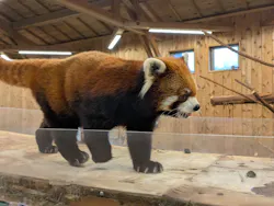 伊豆シャボテン動物公園に投稿された画像（2026/4/12）