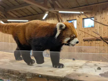 伊豆シャボテン動物公園に投稿された画像（2026/4/12）