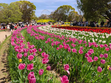 万博記念公園に投稿された画像（2026/4/13）