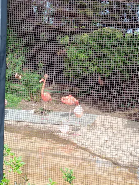 天王寺動物園に投稿された画像（2026/4/13）