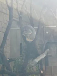 名古屋市東山動植物園に投稿された画像（2026/4/13）