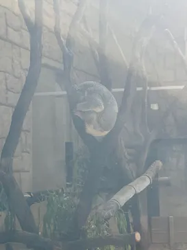 名古屋市東山動植物園に投稿された画像（2026/4/13）