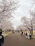 万博記念公園に投稿された画像（2026/4/13）