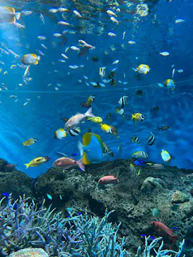 アクアワールド茨城県大洗水族館に投稿された画像（2026/4/13）