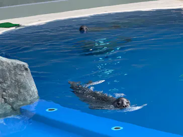 大分マリーンパレス水族館 「うみたまご」に投稿された画像（2026/4/13）