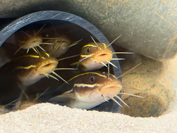 大分マリーンパレス水族館 「うみたまご」に投稿された画像（2026/4/13）