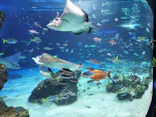 サンシャイン水族館に投稿された画像（2026/4/13）