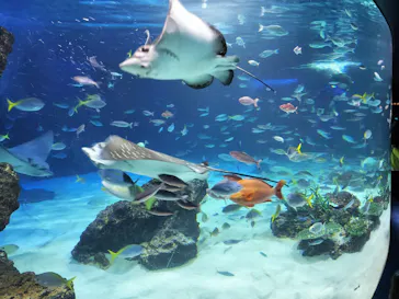 サンシャイン水族館に投稿された画像（2026/4/13）