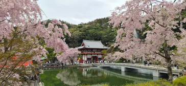勝尾寺に投稿された画像（2026/4/13）